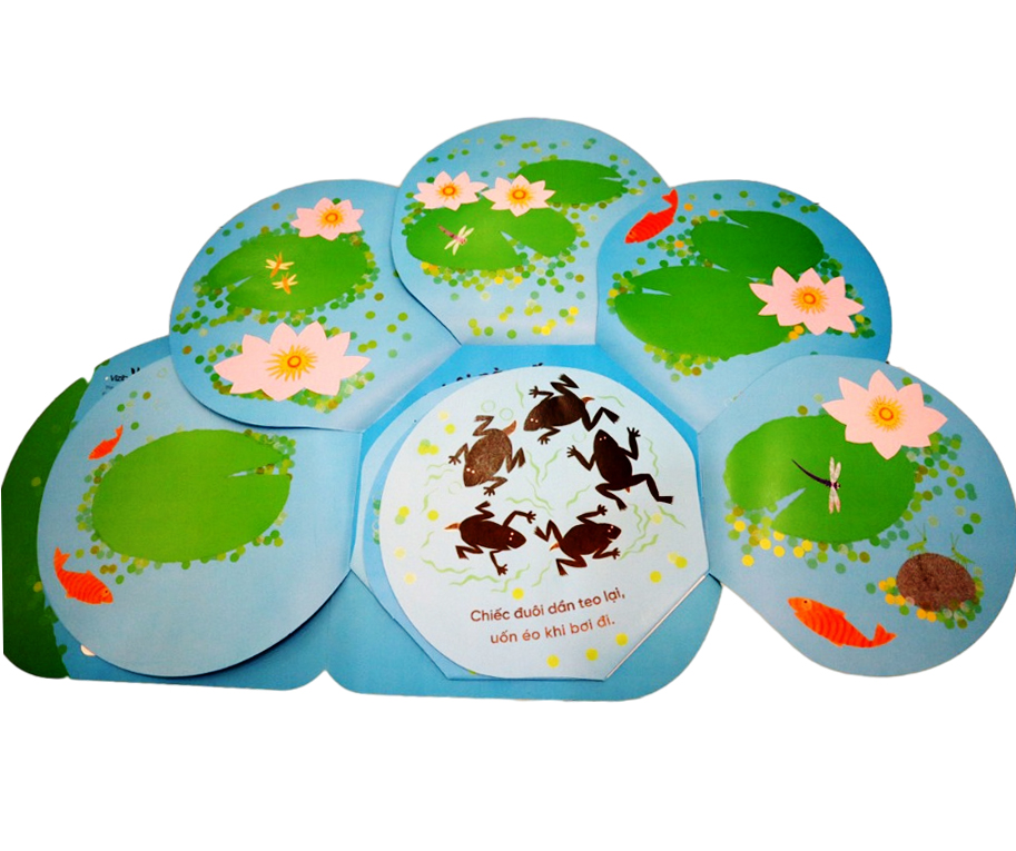 vòng đời kỳ diệu - ếch xanh bé nhỏ - Ảnh 4