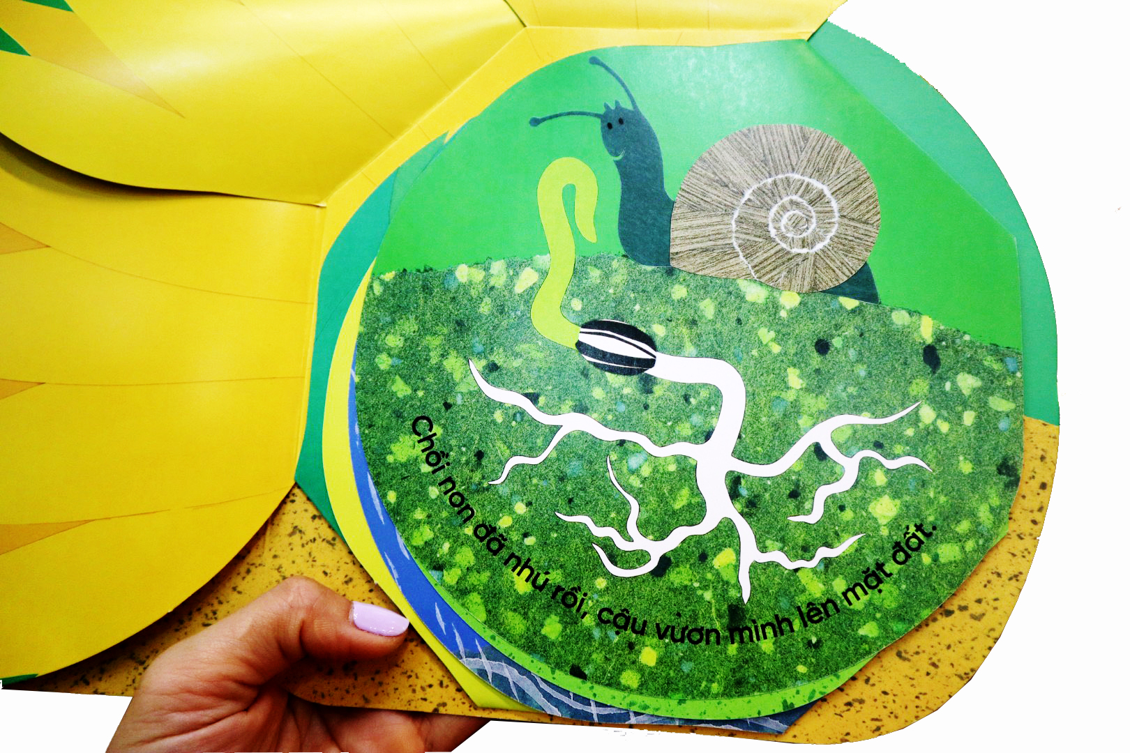 vòng đời kỳ diệu - sâu nhỏ hóa bướm - Ảnh 3