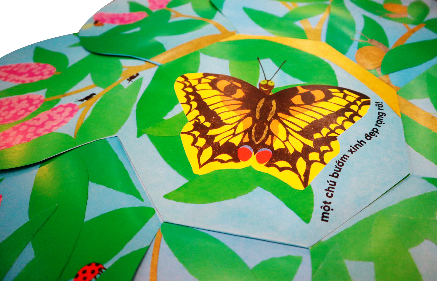 vòng đời kỳ diệu - sâu nhỏ hóa bướm - Ảnh 5