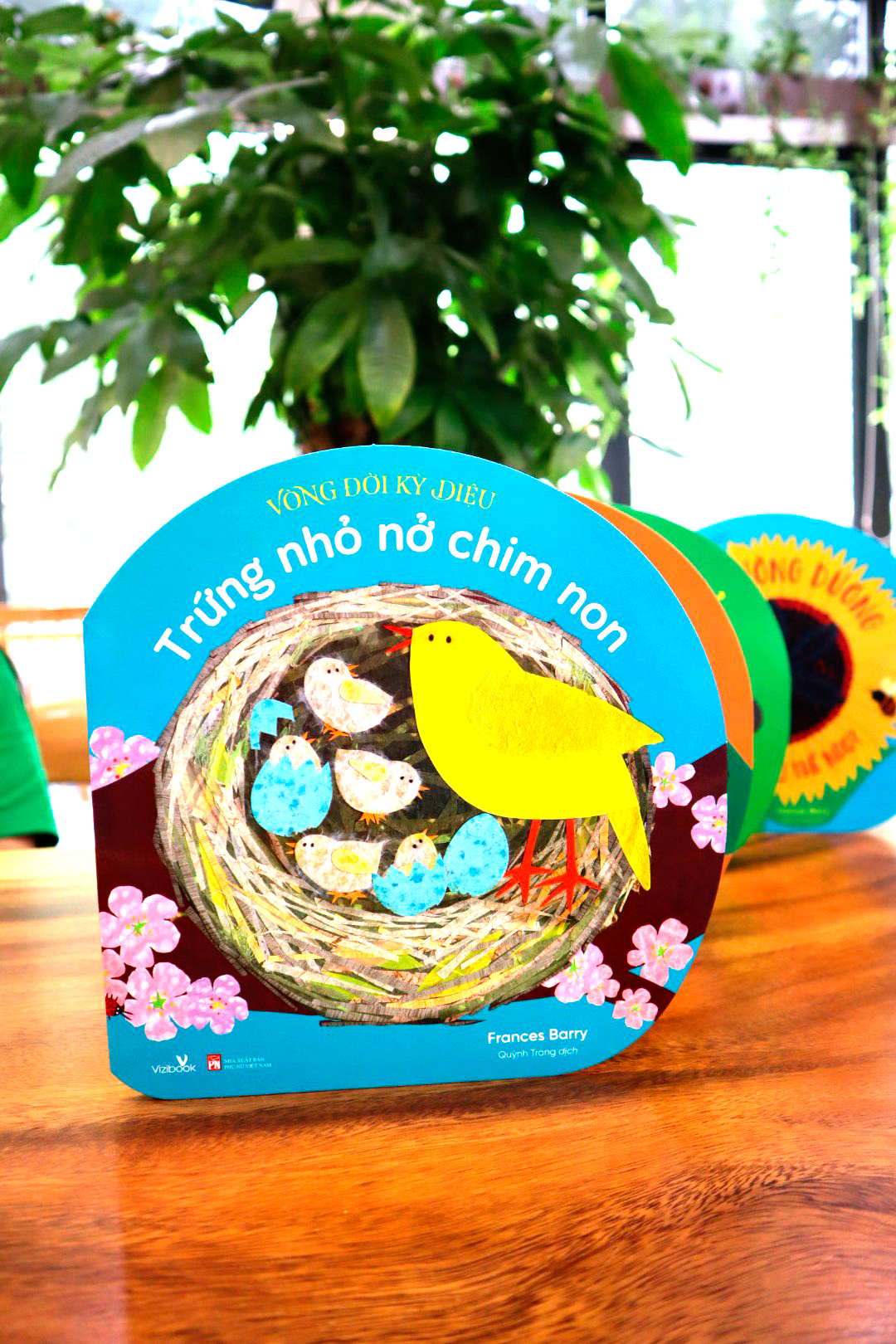 vòng đời kỳ diệu - trứng nhỏ nở chim non - Ảnh 2