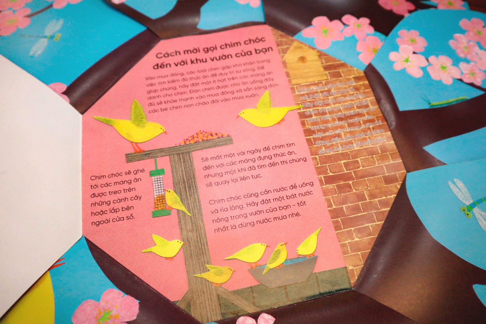 vòng đời kỳ diệu - trứng nhỏ nở chim non - Ảnh 3