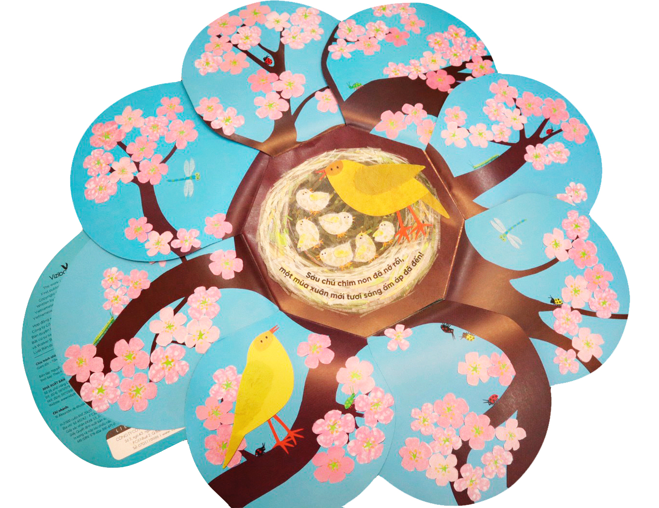 vòng đời kỳ diệu - trứng nhỏ nở chim non - Ảnh 4