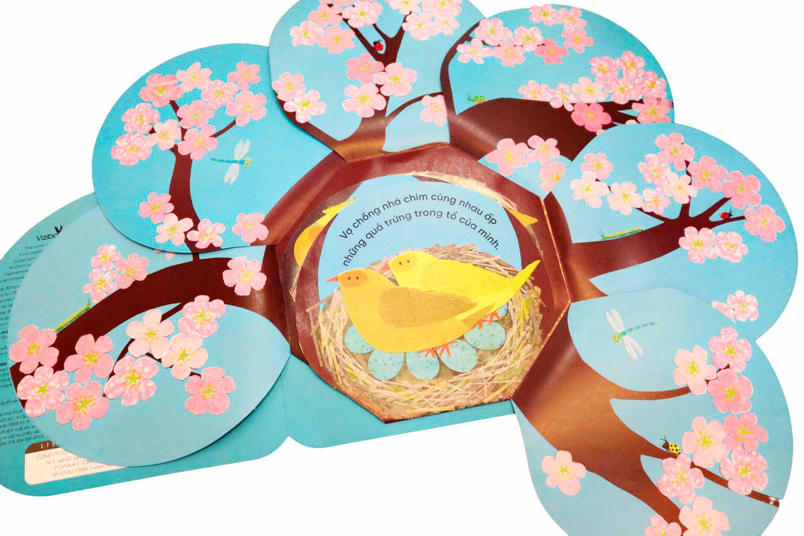 vòng đời kỳ diệu - trứng nhỏ nở chim non - Ảnh 5