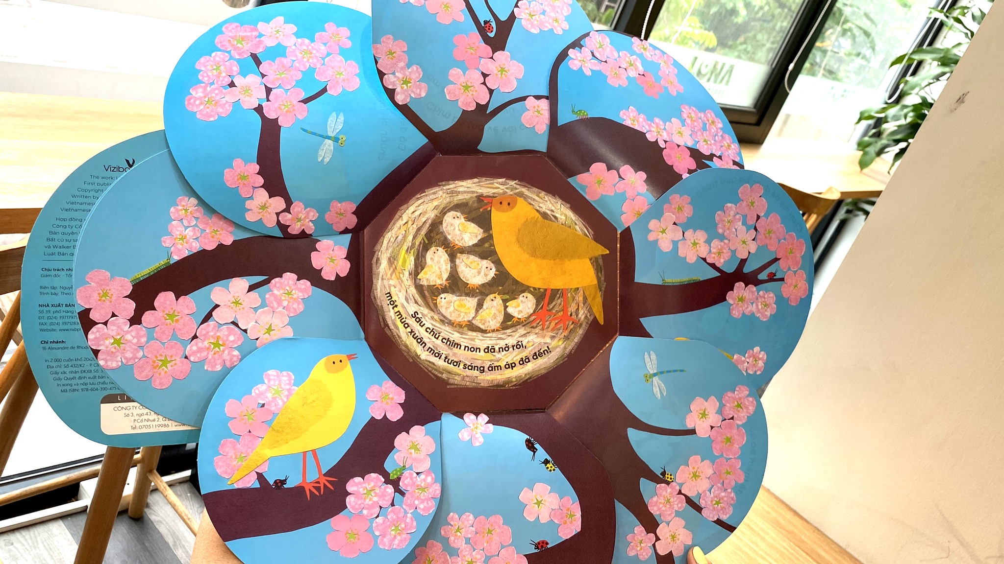 vòng đời kỳ diệu - trứng nhỏ nở chim non - Ảnh 6