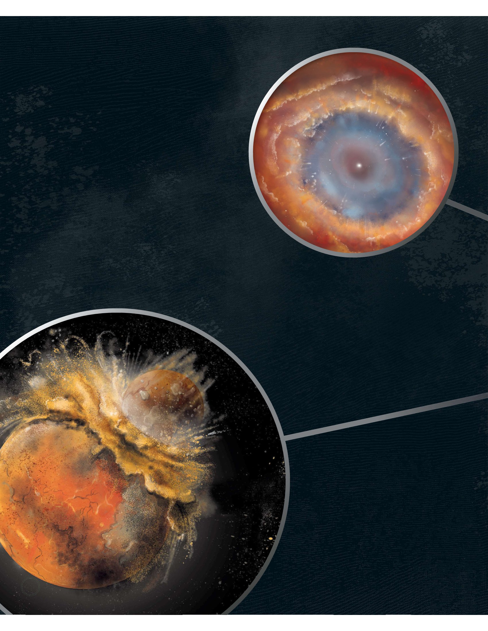 vòng đời - life cycles - Ảnh 11