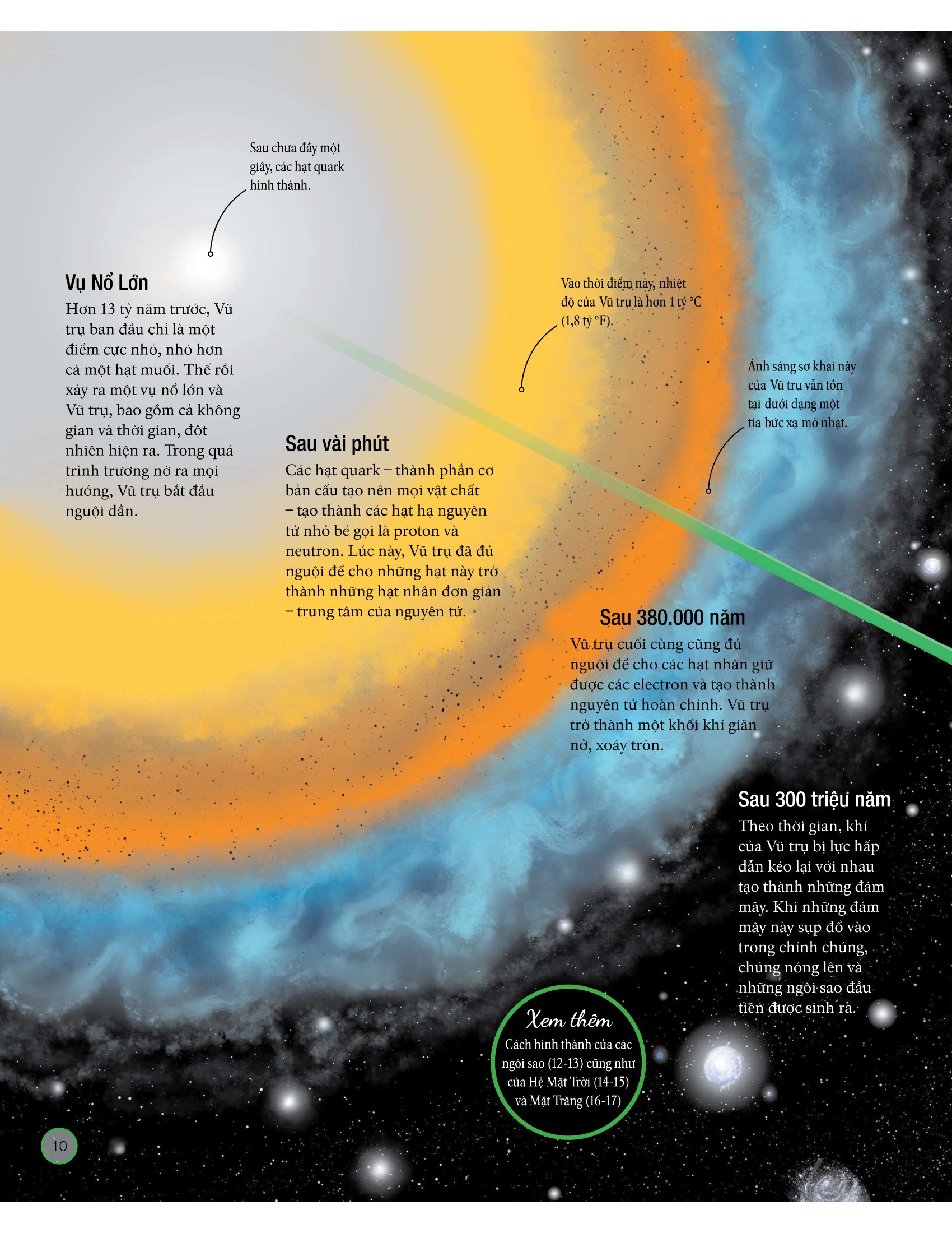 vòng đời - life cycles - Ảnh 13