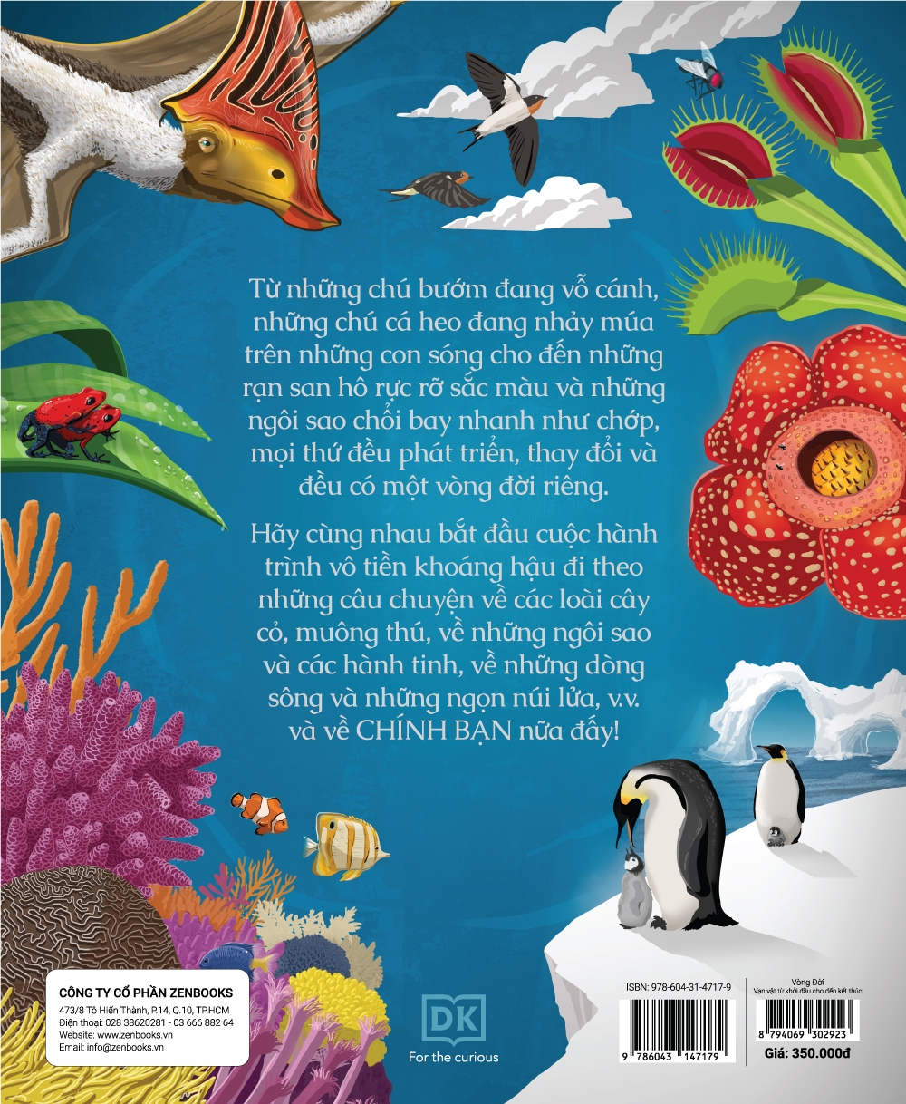 vòng đời - life cycles - Ảnh 3