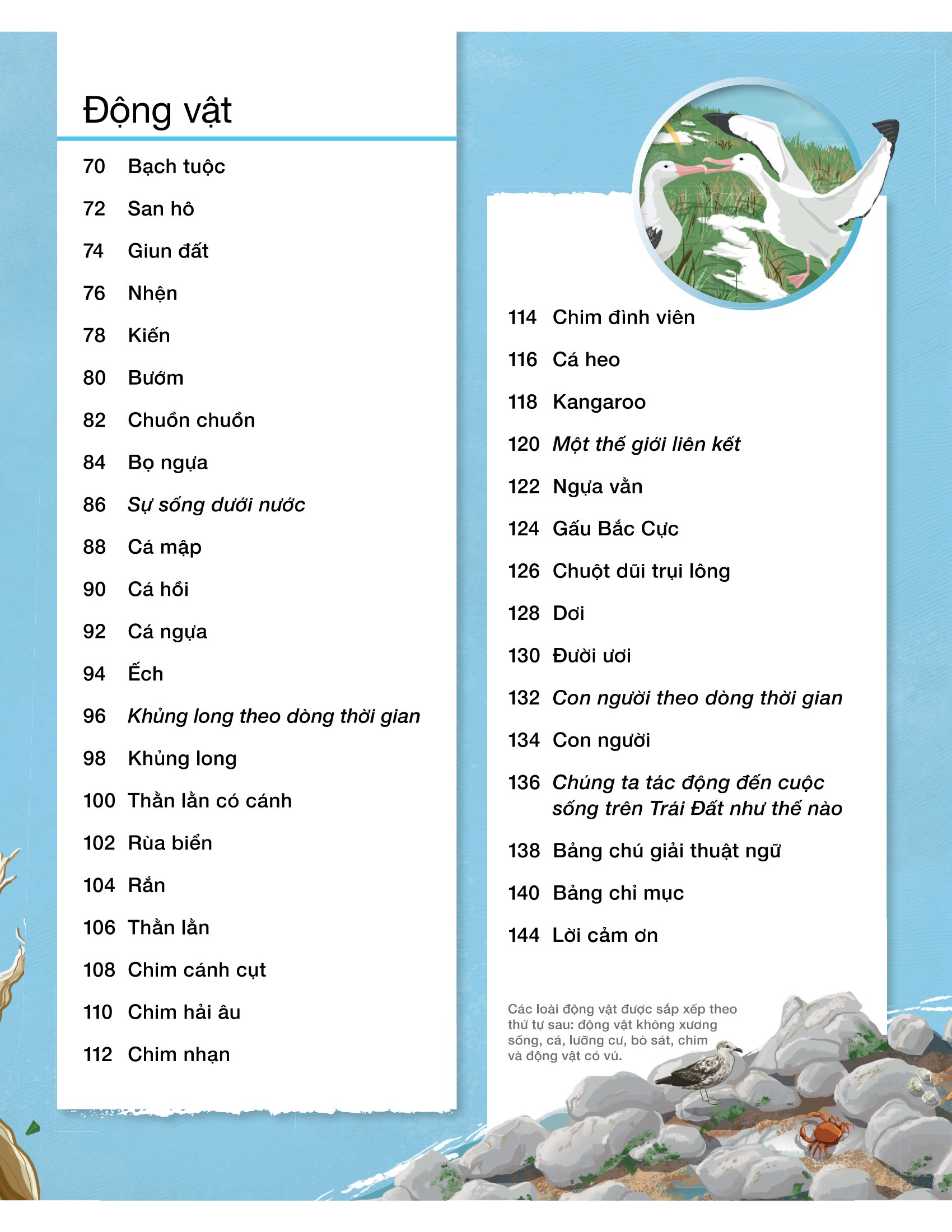 vòng đời - life cycles - Ảnh 8