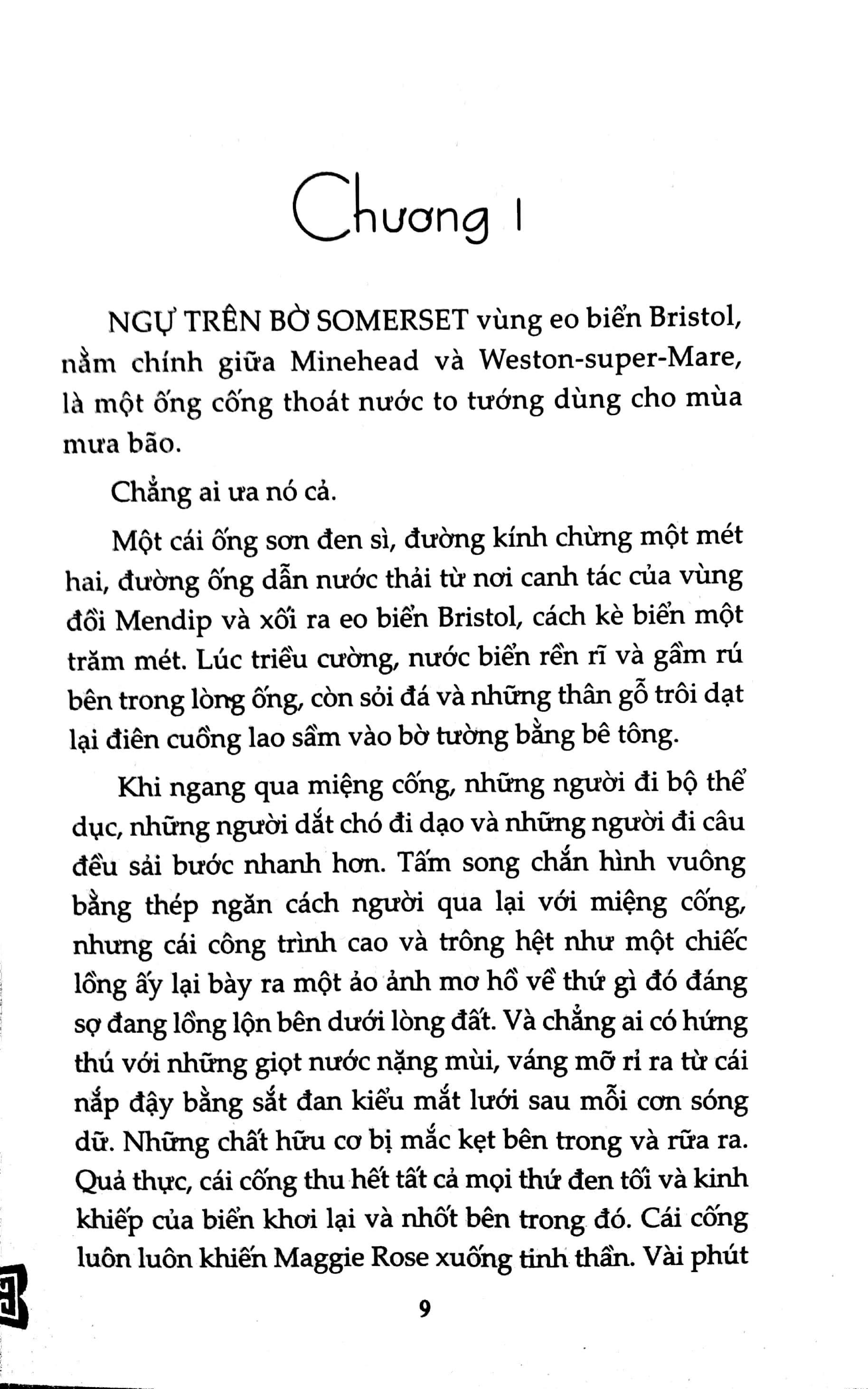 vòng hoa cúc - Ảnh 2