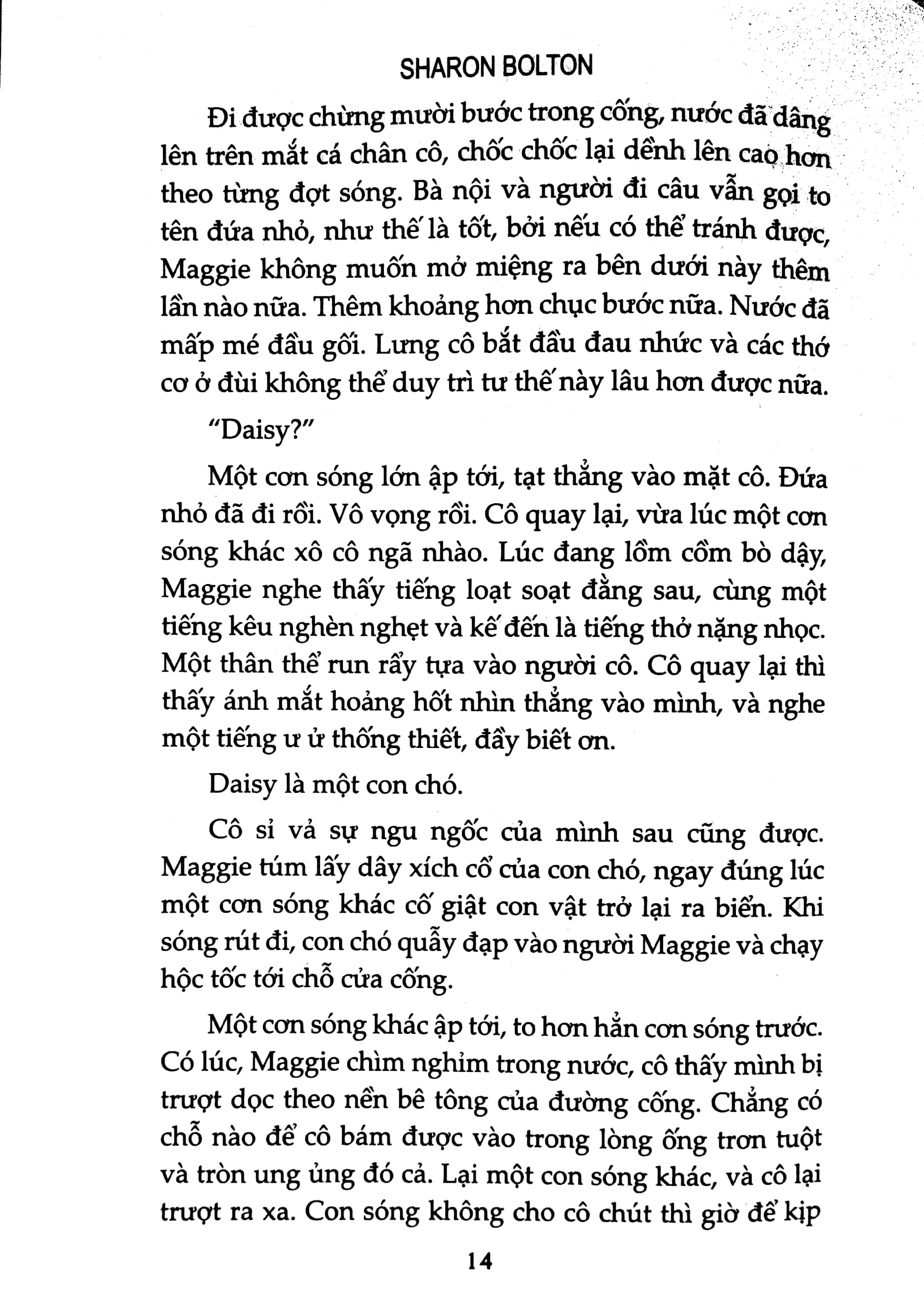 vòng hoa cúc - Ảnh 7