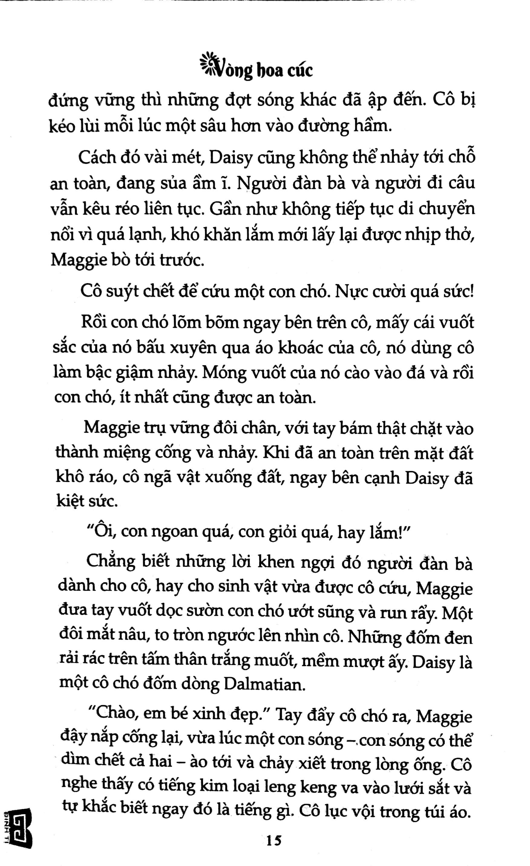 vòng hoa cúc - Ảnh 8