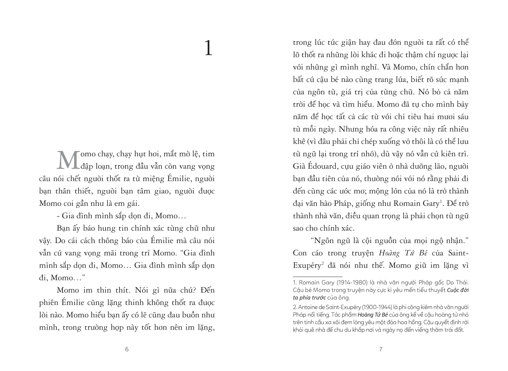 vòng nguyệt quế cho momo - Ảnh 4