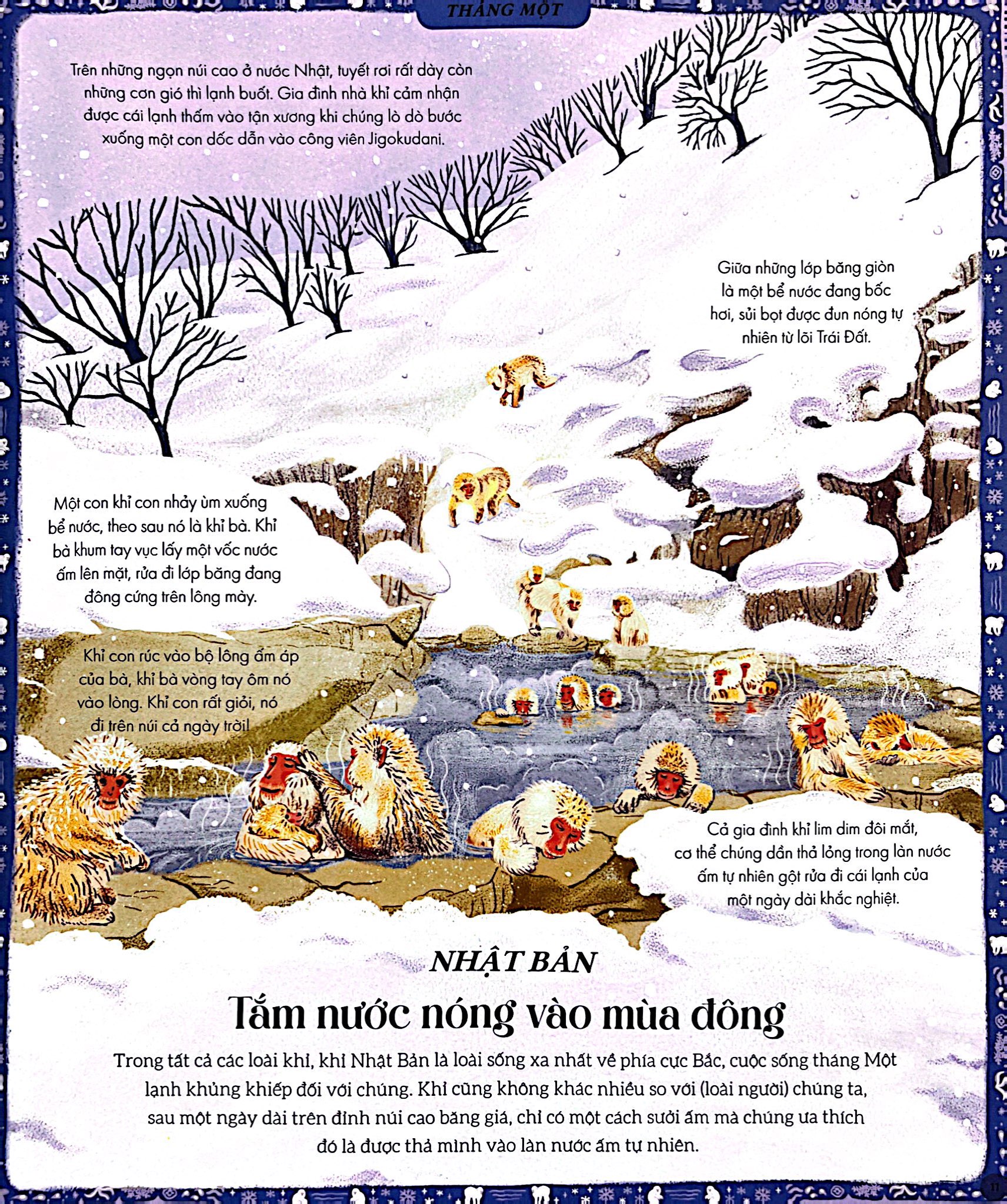 vòng quanh thế giới cùng mẹ thiên nhiên - bìa cứng - Ảnh 6