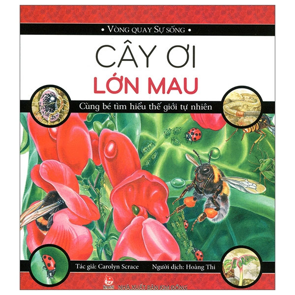 Bìa sách vòng quay sự sống - cây ơi lớn mau