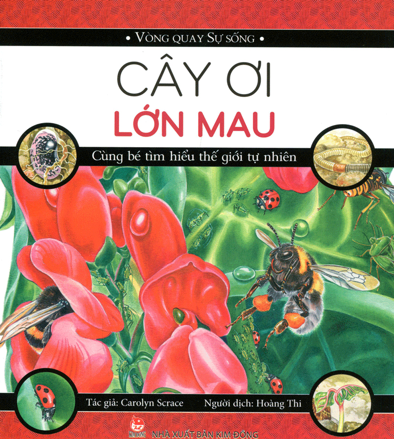 vòng quay sự sống - cây ơi lớn mau - Ảnh 2