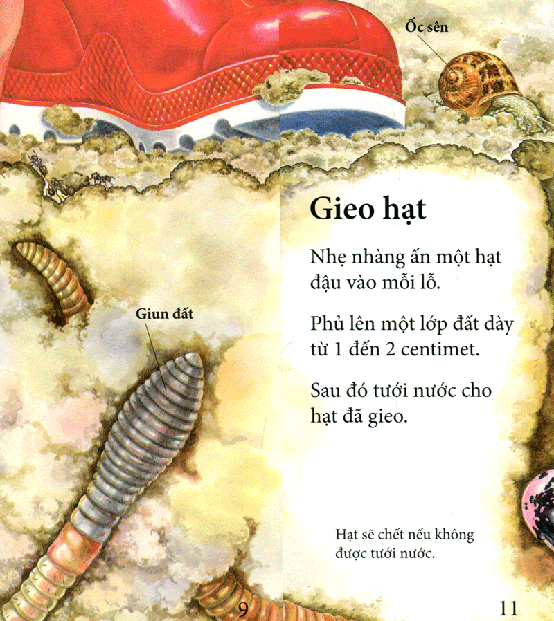 vòng quay sự sống - cây ơi lớn mau - Ảnh 4