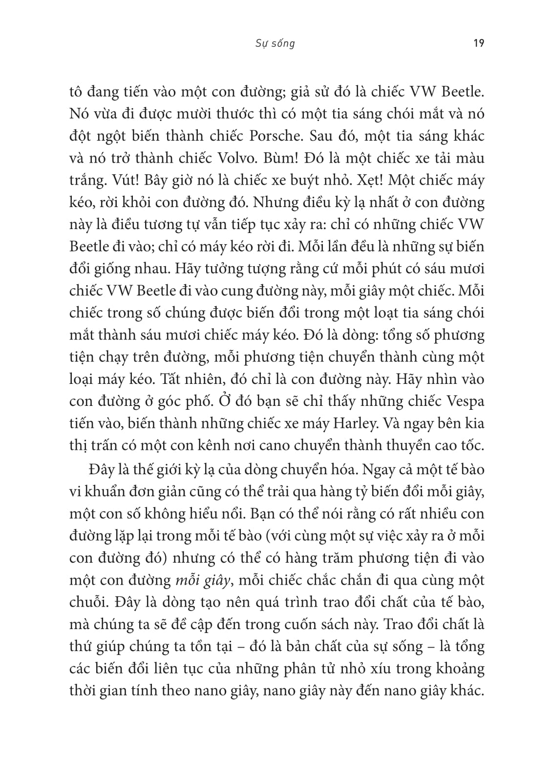 Vũ Điệu Sự Sống - Transformer - Bí Ẩn Hóa Học Sâu Thẳm Của Sự Sống Và Cái Chết - Ảnh 13