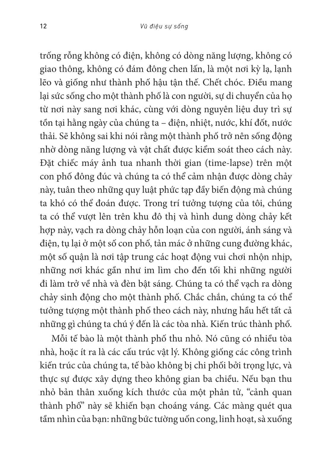 Vũ Điệu Sự Sống - Transformer - Bí Ẩn Hóa Học Sâu Thẳm Của Sự Sống Và Cái Chết - Ảnh 6