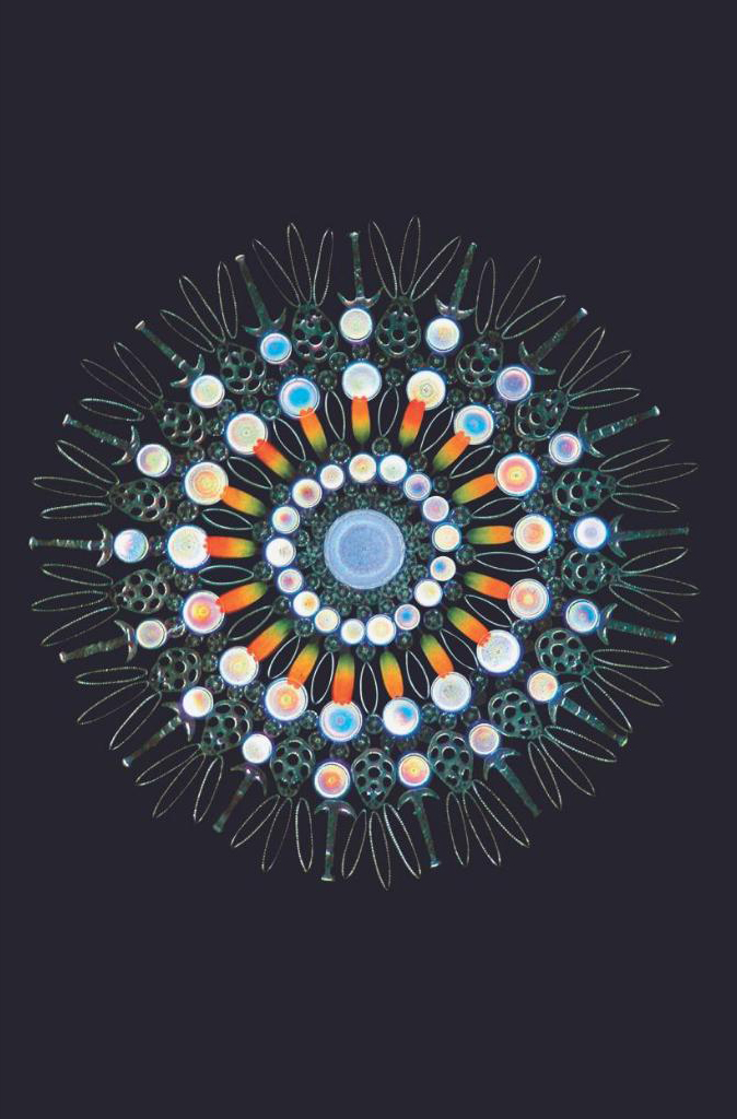 vũ trụ - những thế giới khả hữu - cosmos - possible worlds - bìa cứng - Ảnh 3