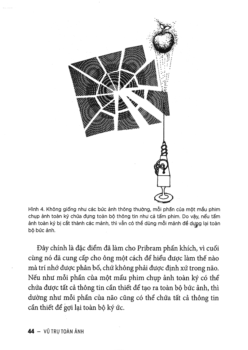 vũ trụ toàn ảnh - Ảnh 15