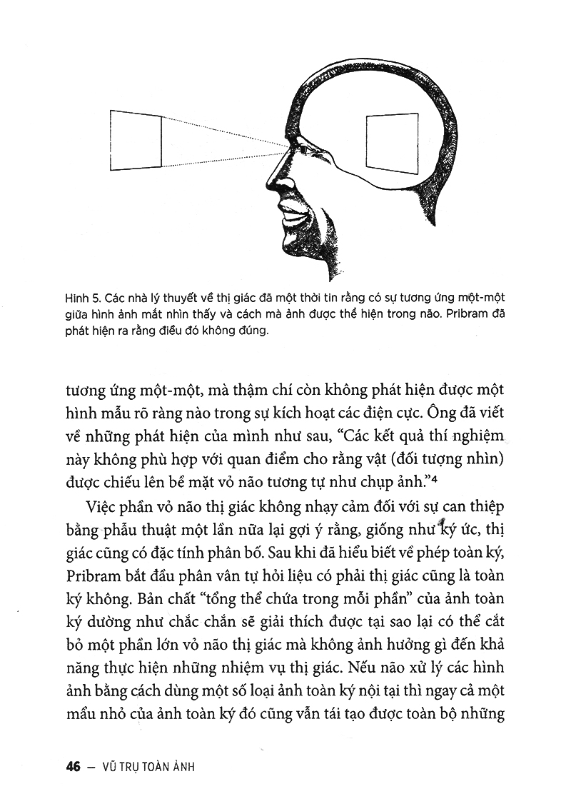 vũ trụ toàn ảnh - Ảnh 17