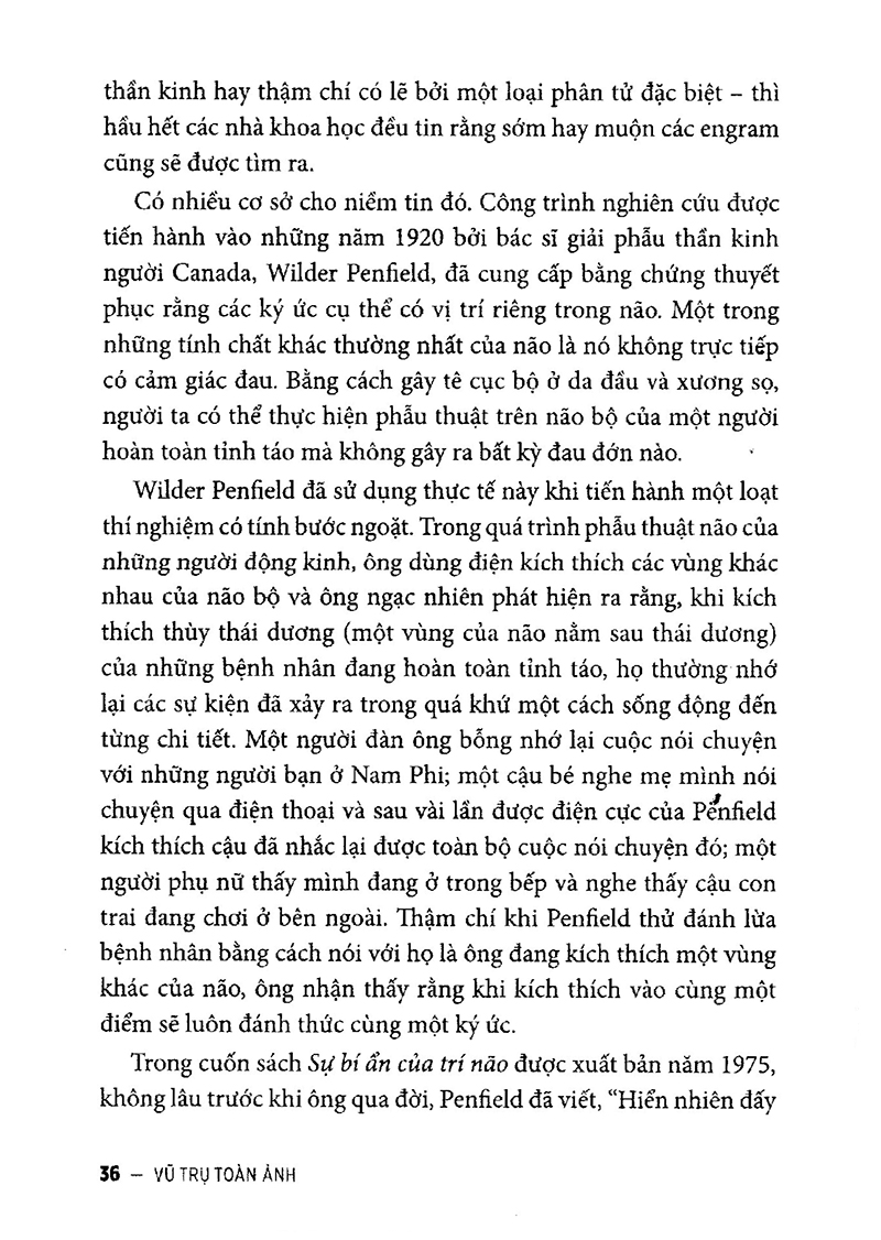 vũ trụ toàn ảnh - Ảnh 7