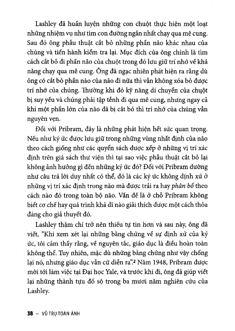 vũ trụ toàn ảnh - Ảnh 9