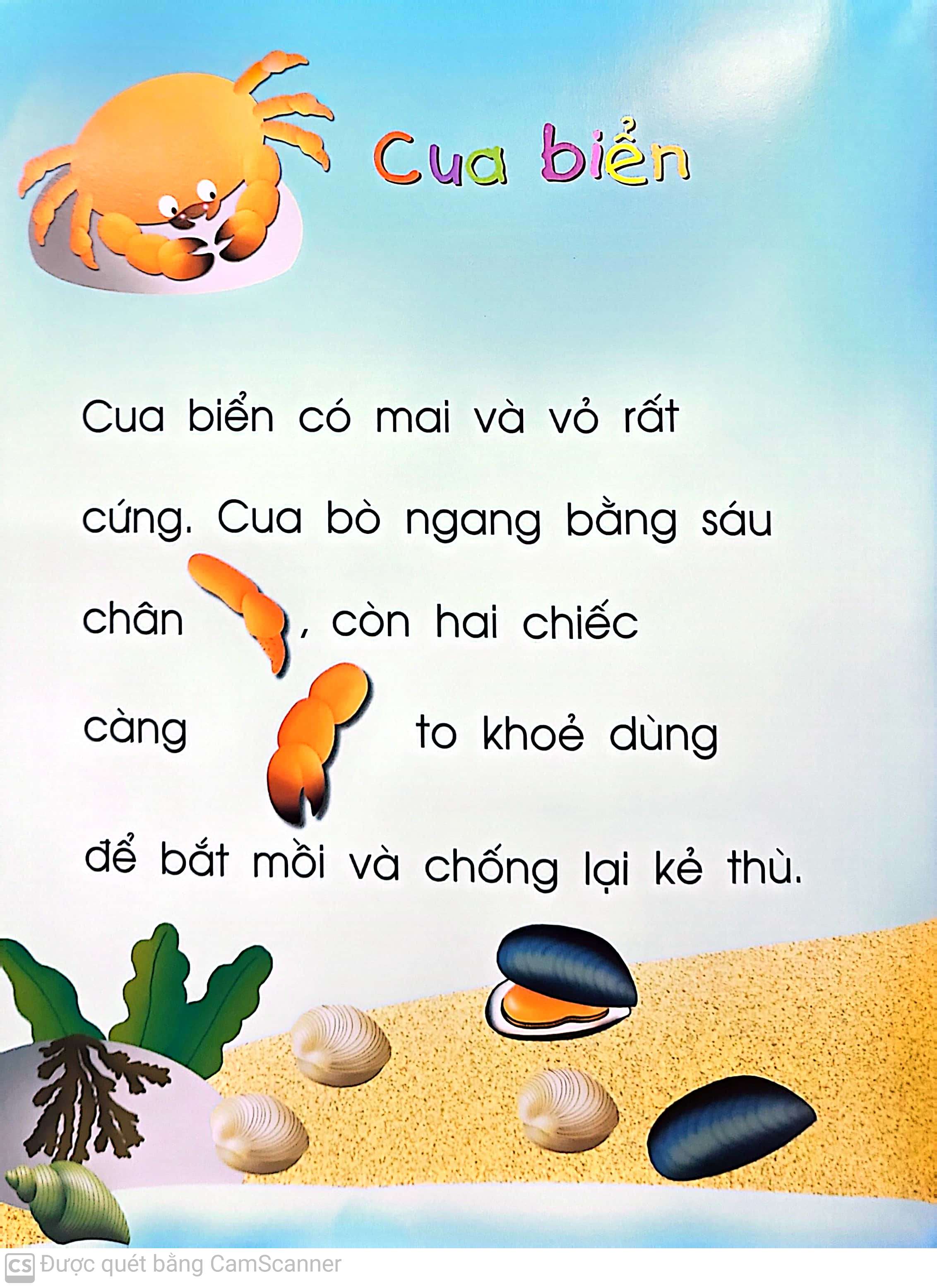 vừa học vừa chơi - động vật dưới biển (tái bản 2020) - Ảnh 5