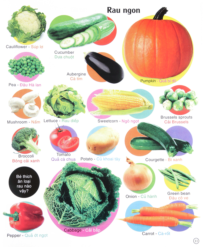 vừa học vừa chơi - từ vựng tiếng anh - Ảnh 11