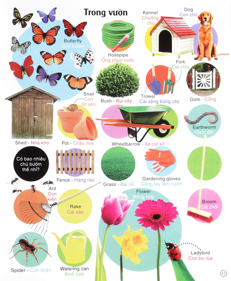 vừa học vừa chơi - từ vựng tiếng anh - Ảnh 13