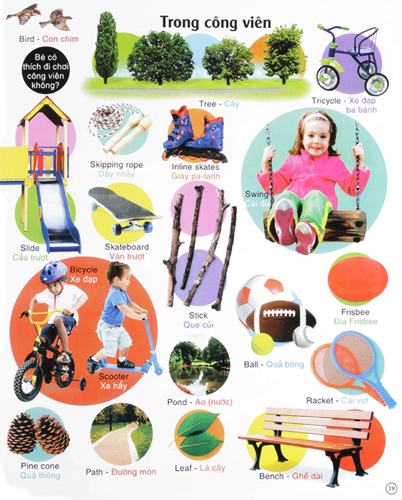 vừa học vừa chơi - từ vựng tiếng anh - Ảnh 19