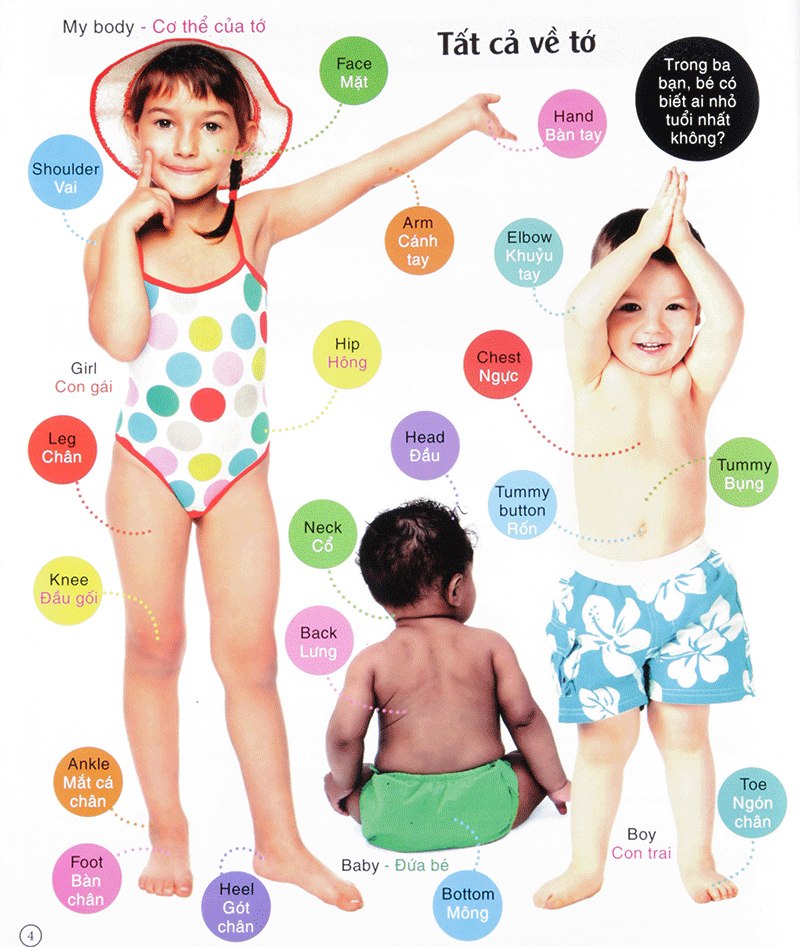 vừa học vừa chơi - từ vựng tiếng anh - Ảnh 4