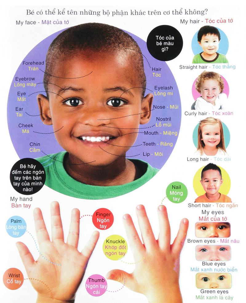 vừa học vừa chơi - từ vựng tiếng anh - Ảnh 5