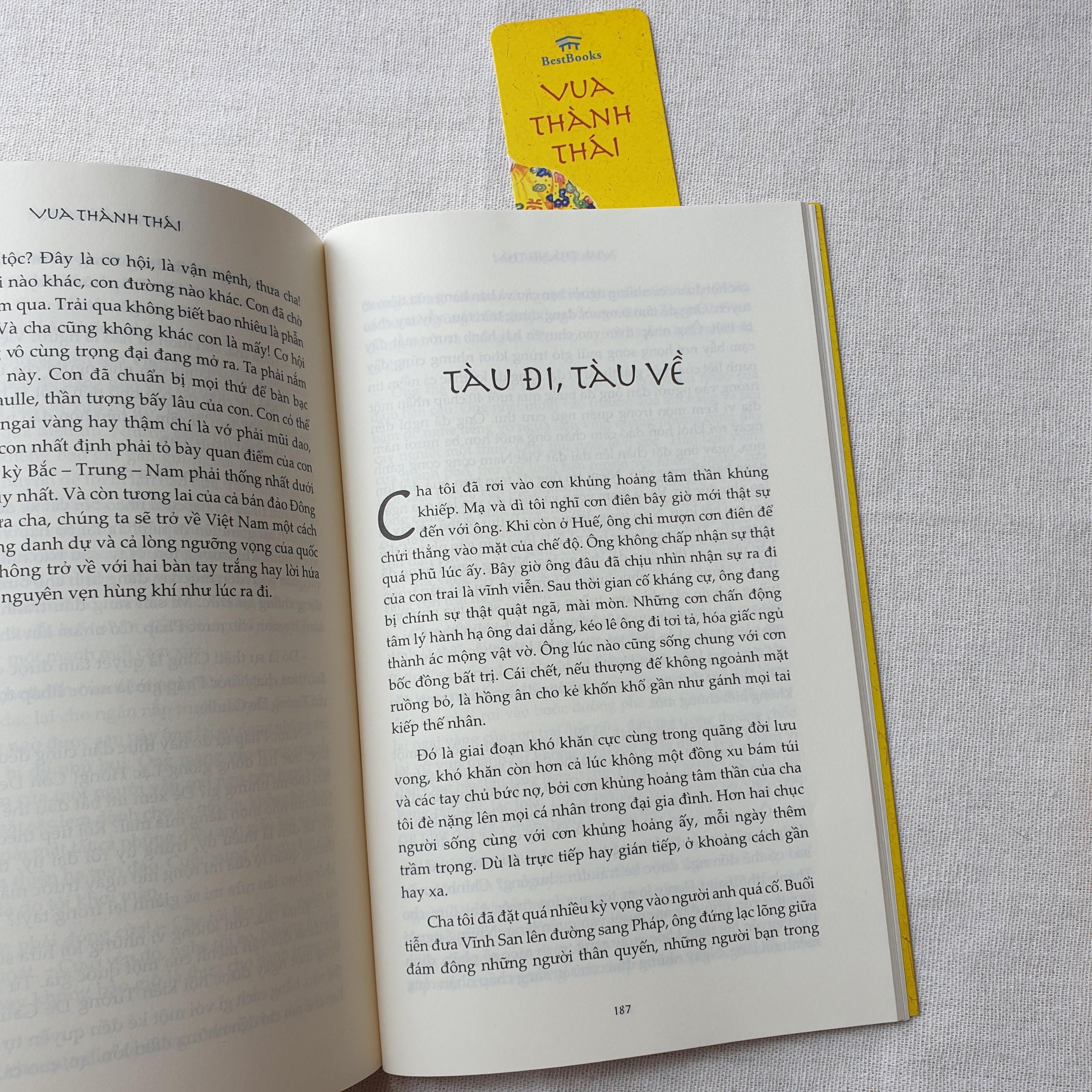 Vua Thành Thái (Tiểu Thuyết Lịch Sử) - Ảnh 5