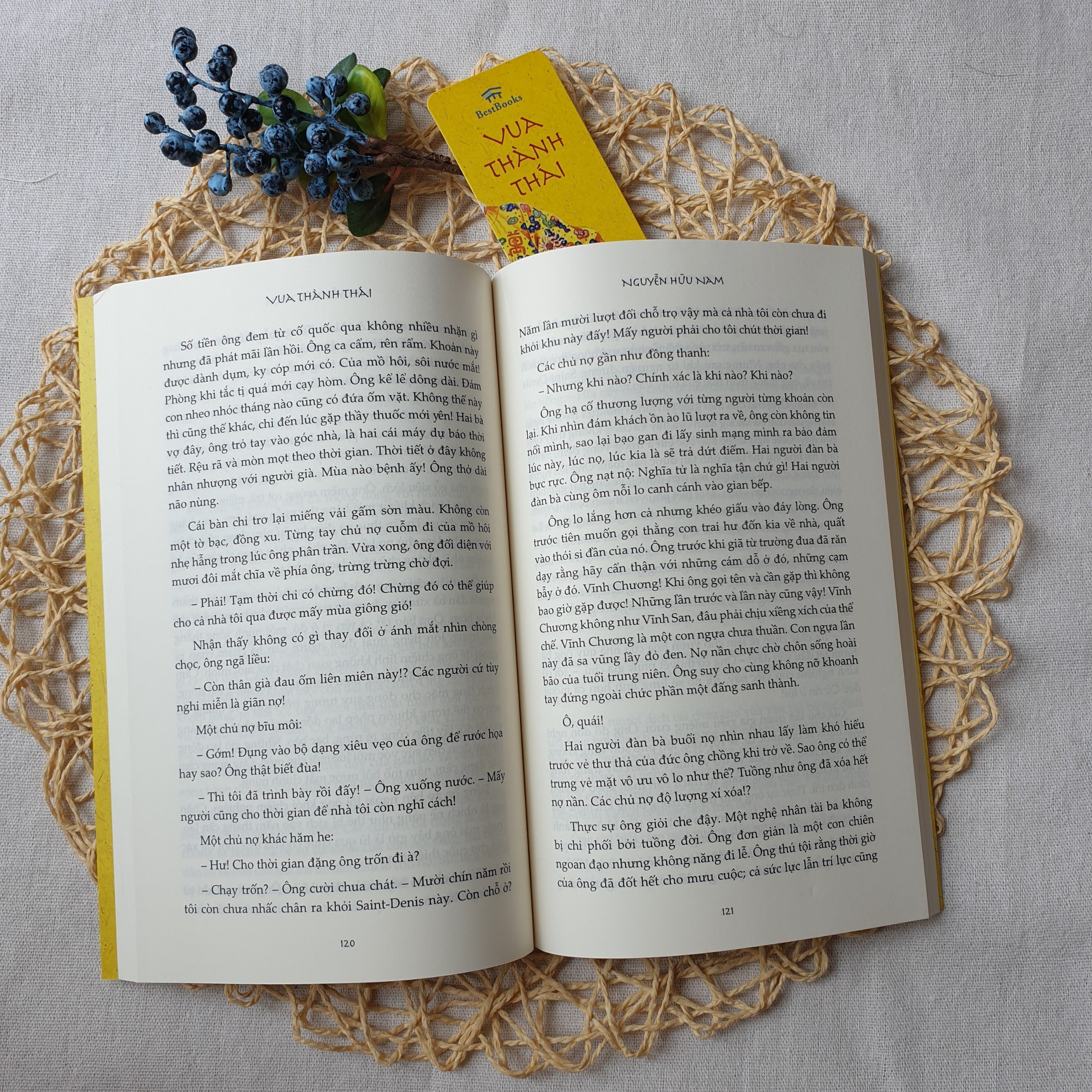 Vua Thành Thái (Tiểu Thuyết Lịch Sử) - Ảnh 7