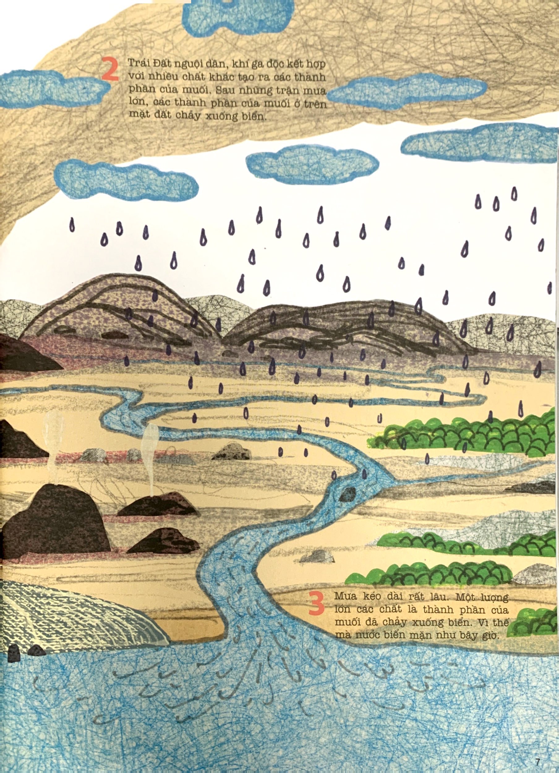 vừa thô ráp vừa lấp lánh - bé ơi, đừng ăn nhiều muối! - Ảnh 5