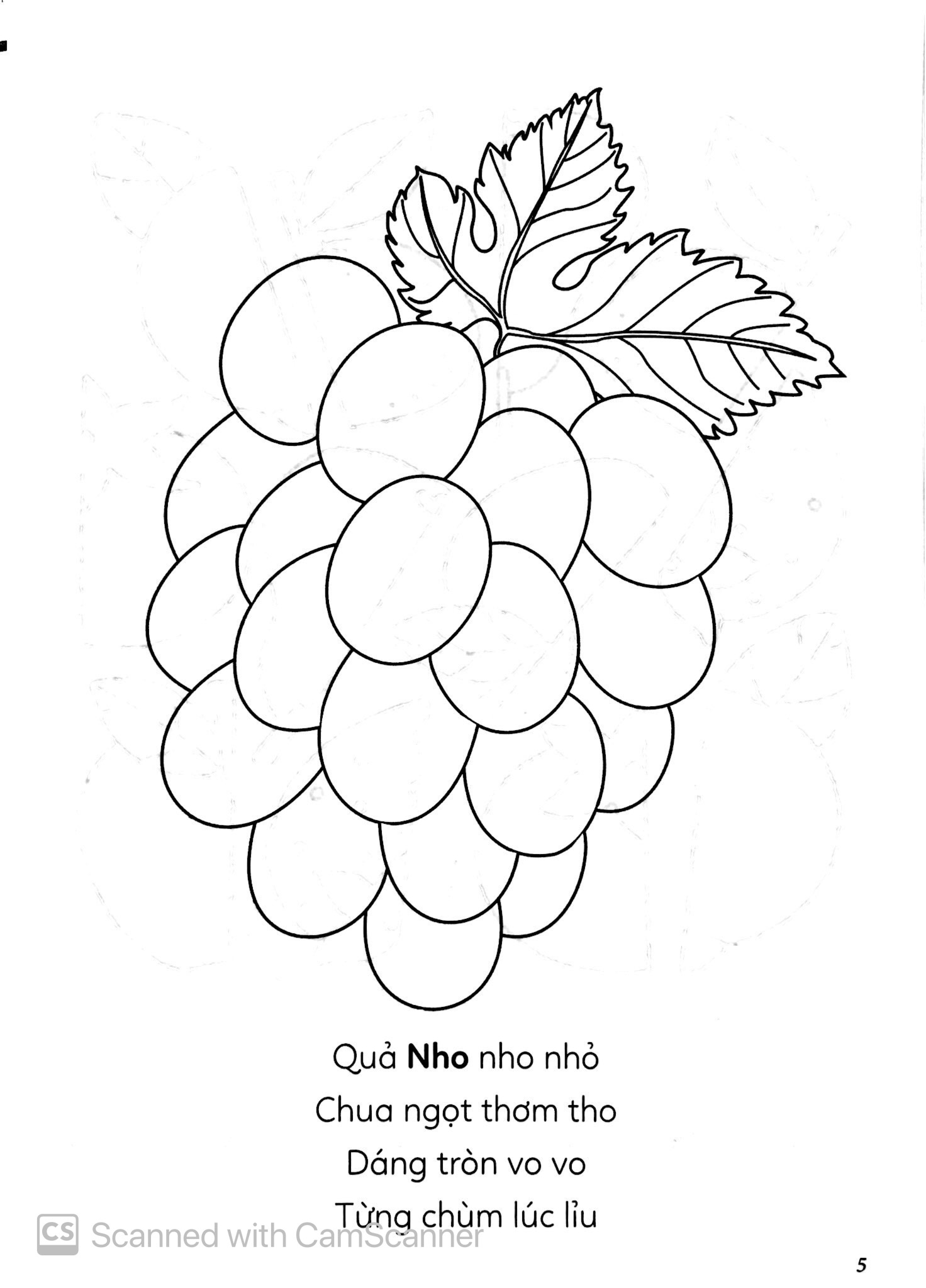 Vừa Tô Màu Vừa Học - Bốn Mùa Cây Trái - Ảnh 7