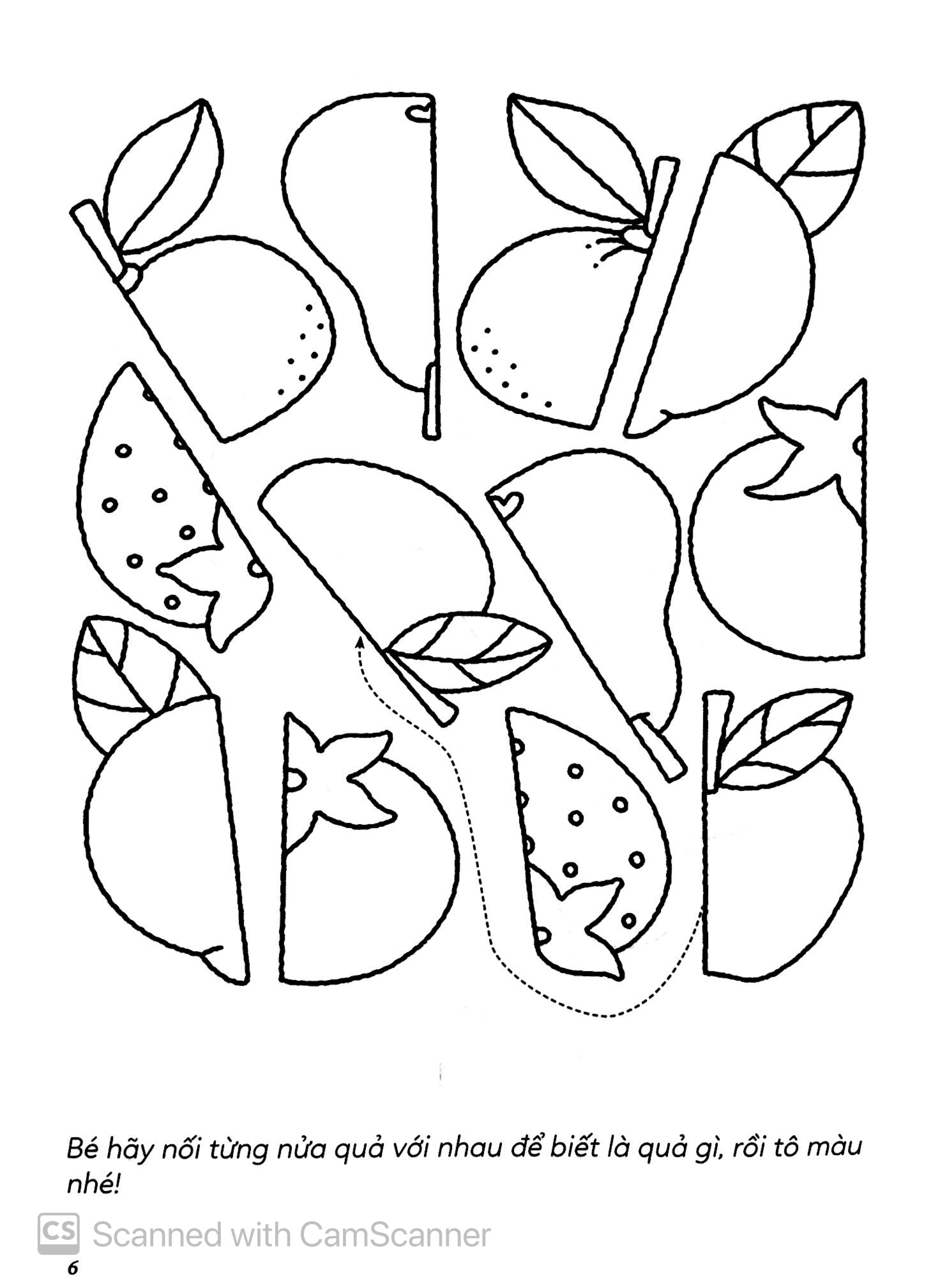 Vừa Tô Màu Vừa Học - Bốn Mùa Cây Trái - Ảnh 8