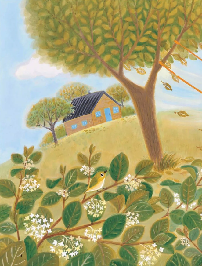 vui suốt cả bốn mùa - mùa thu phép thuật - Ảnh 3