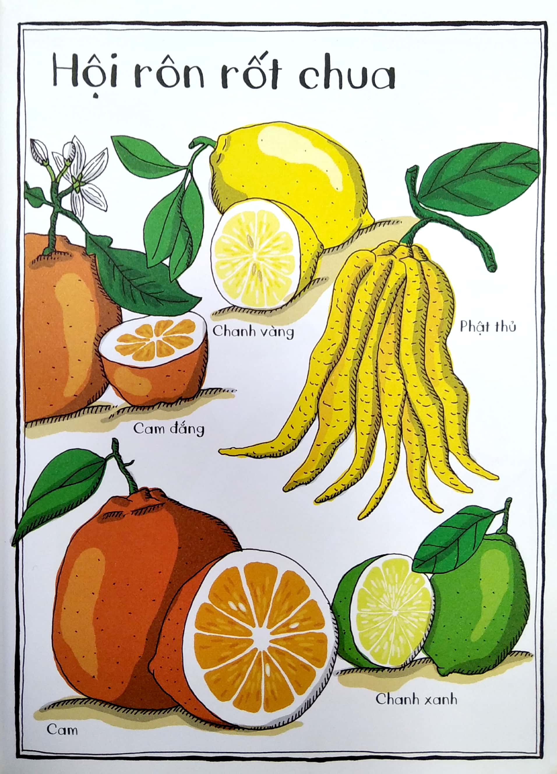 vườn bách thảo bằng tranh - Ảnh 5