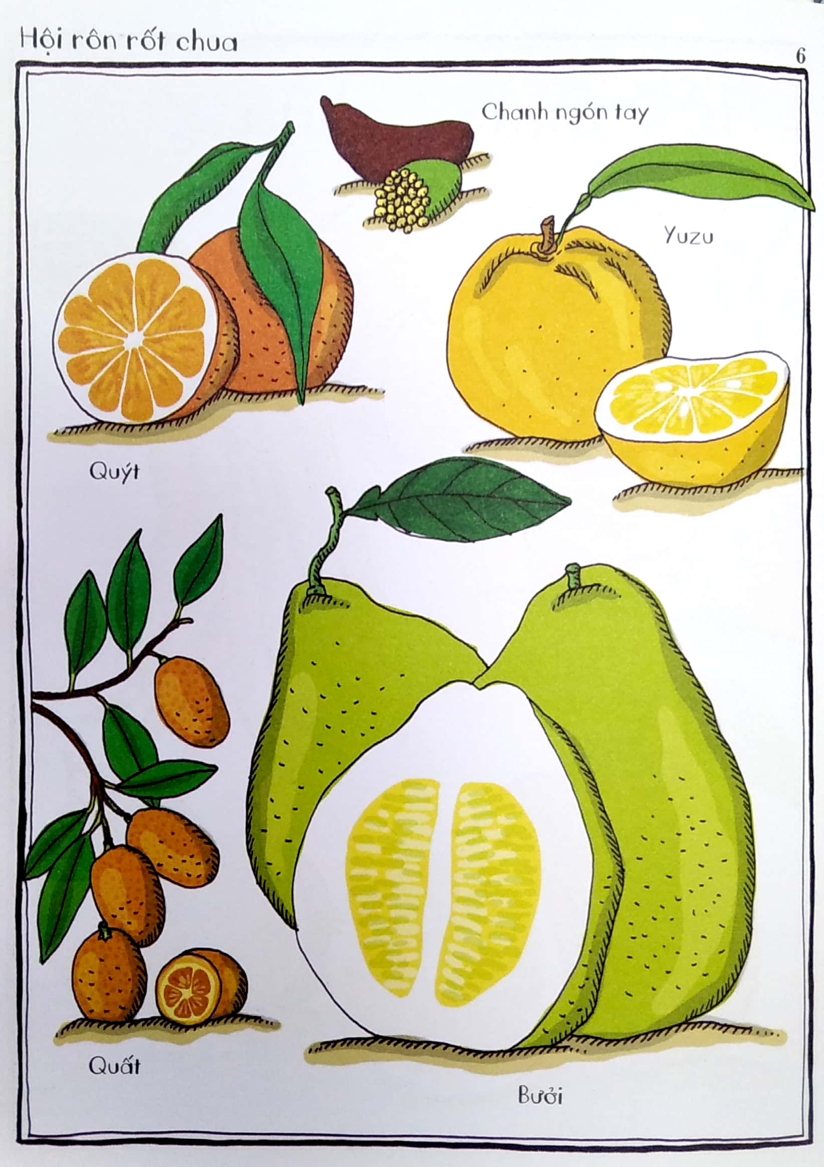 vườn bách thảo bằng tranh - Ảnh 6