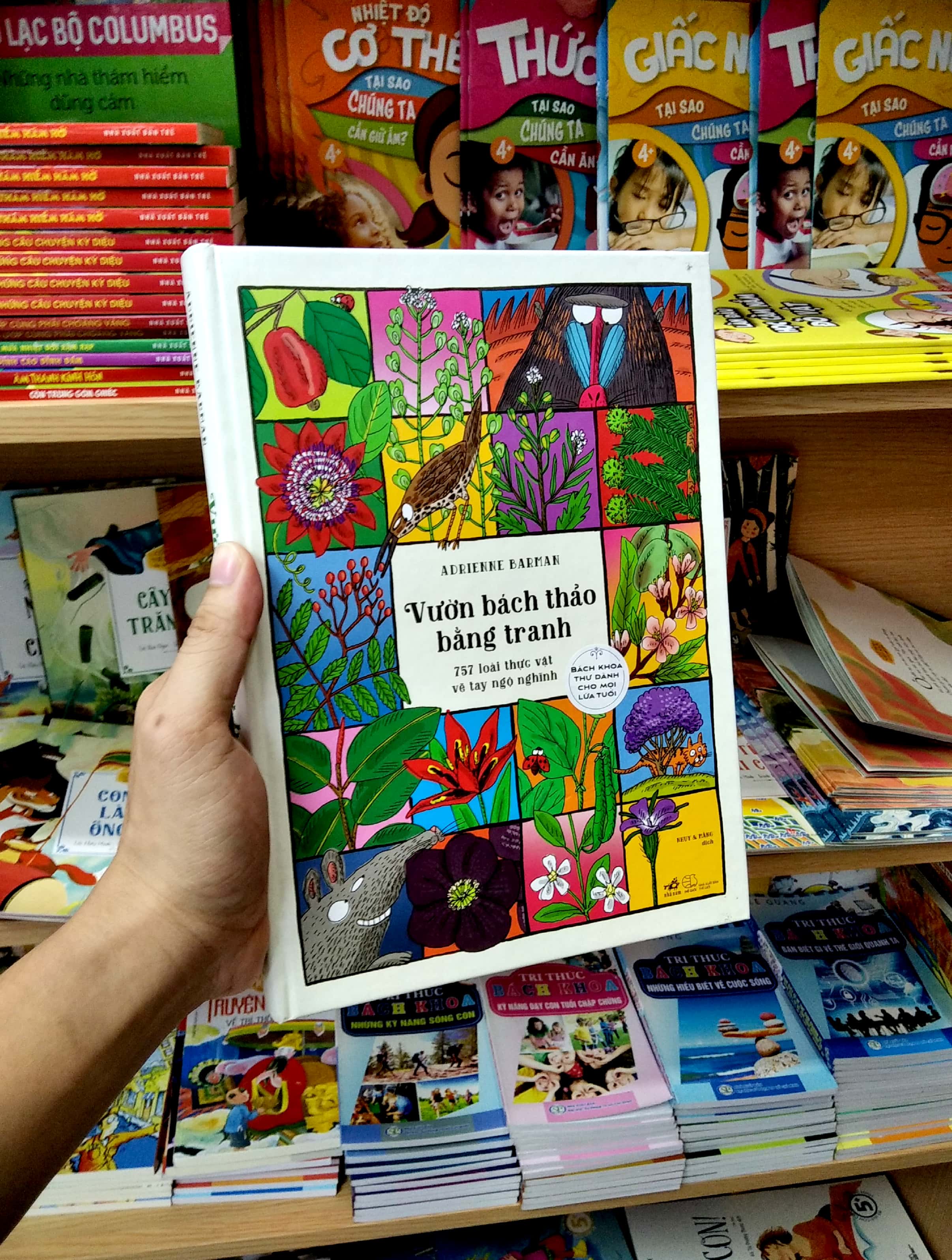 vườn bách thảo bằng tranh - Ảnh 8