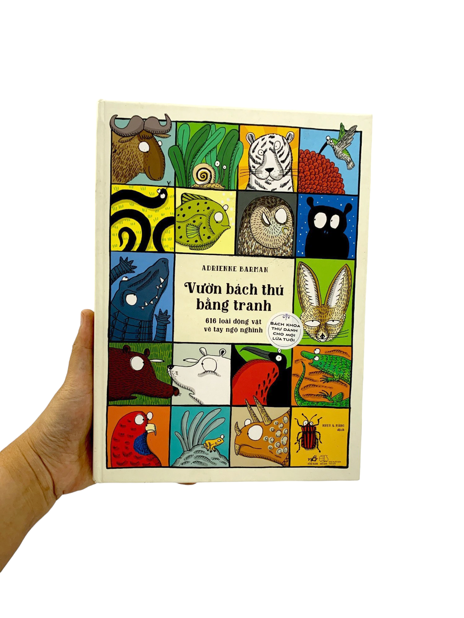 vườn bách thú bằng tranh - Ảnh 10