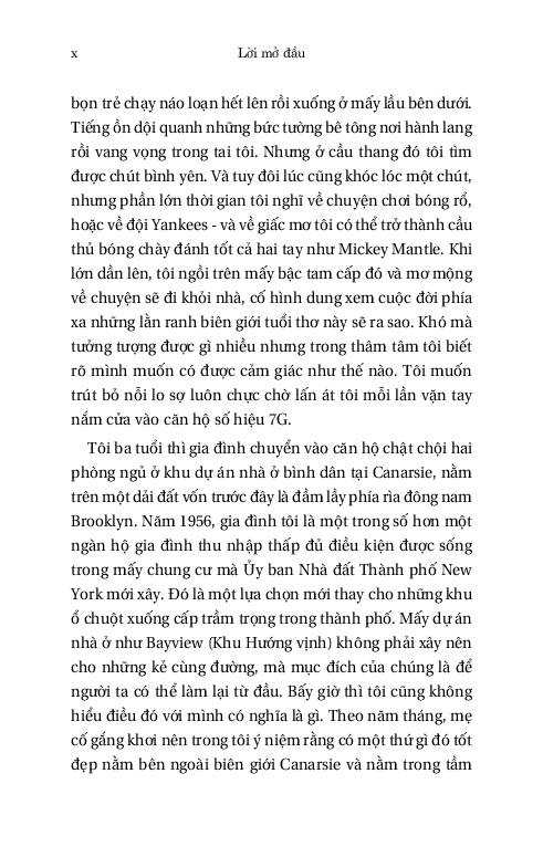 vươn lên từ đáy - hành trình tái hiện giấc mơ mỹ - Ảnh 7