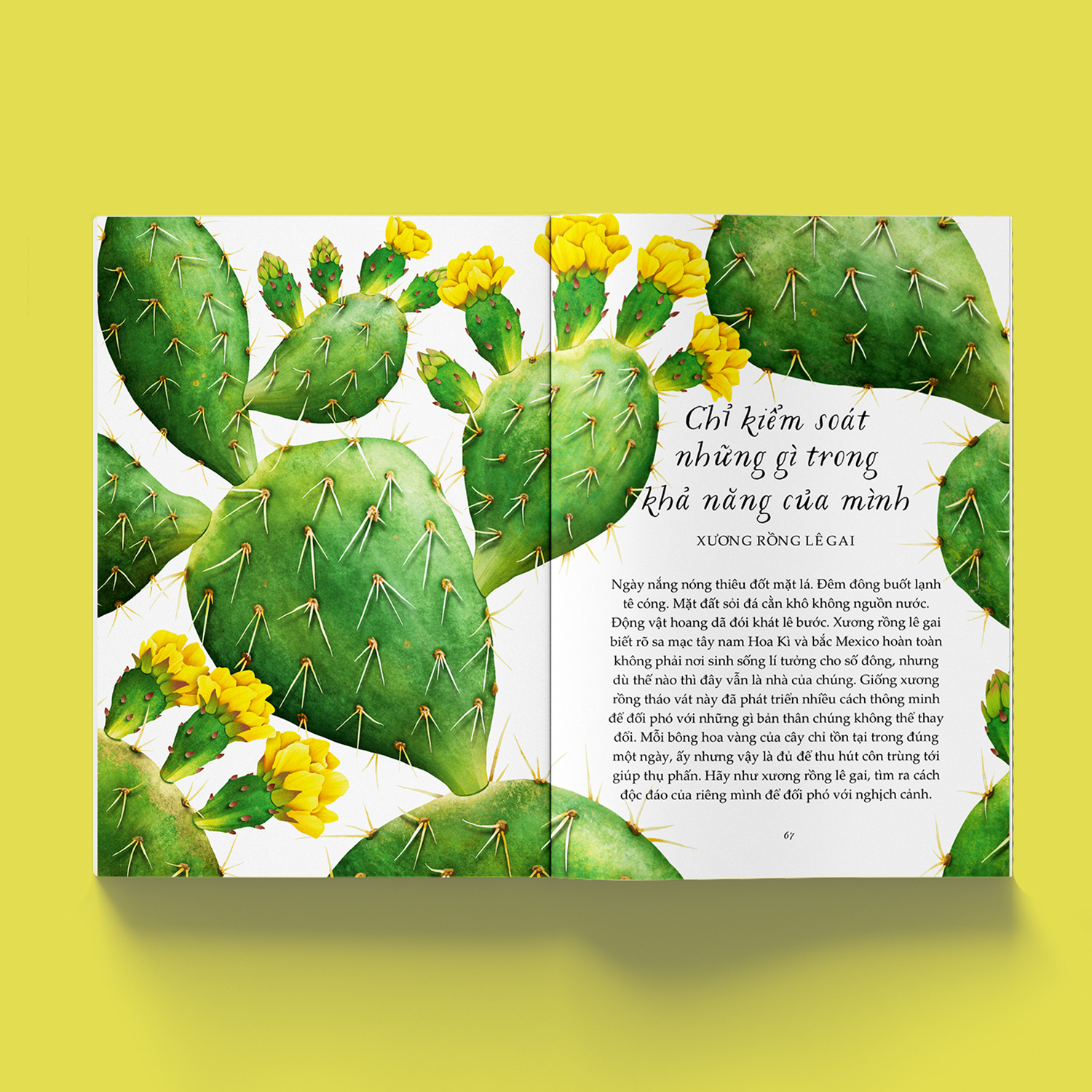 vươn mình như những đoá hoa - những bài học nhỏ để có nguồn vui và an lành bất tận - Ảnh 3