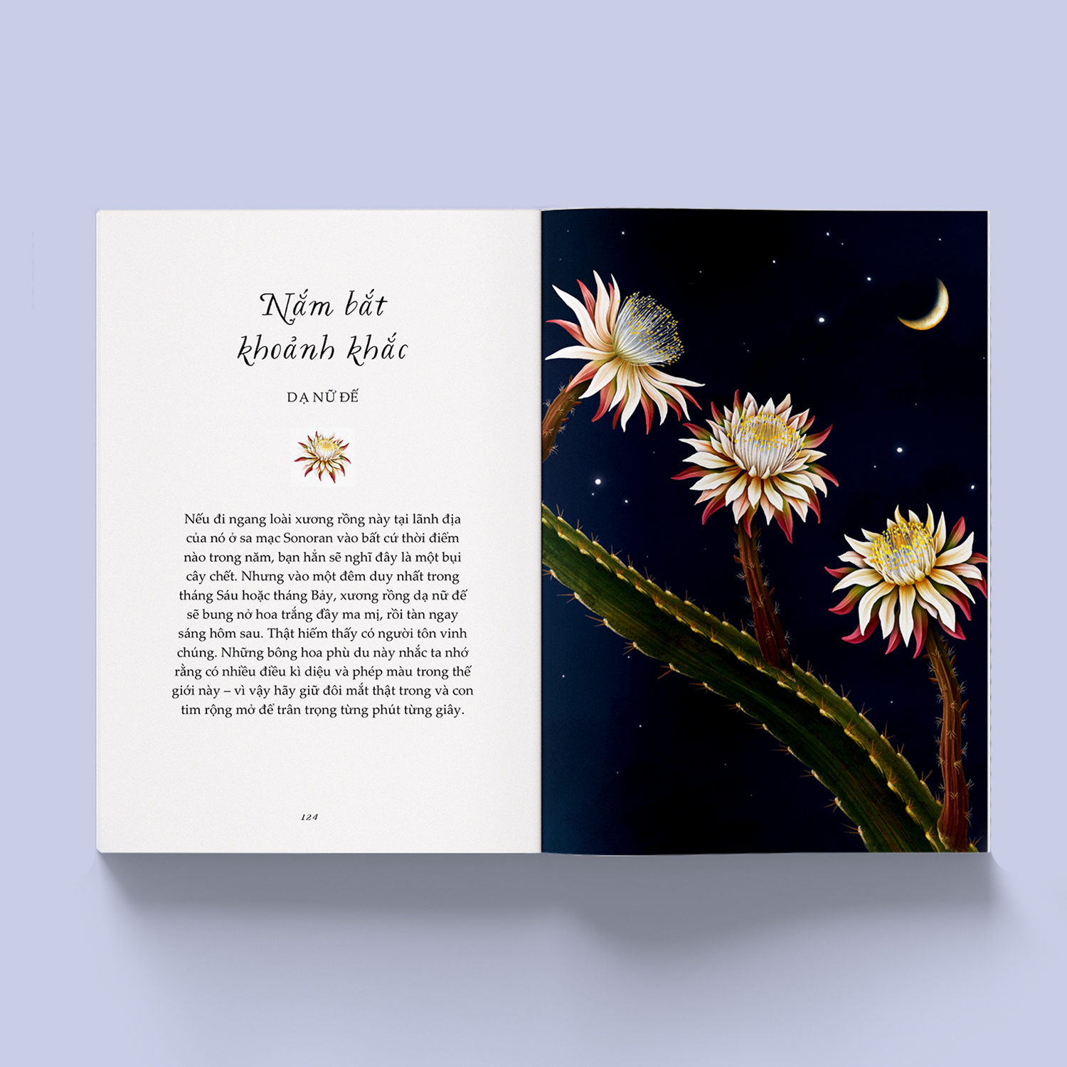 vươn mình như những đoá hoa - những bài học nhỏ để có nguồn vui và an lành bất tận - Ảnh 6