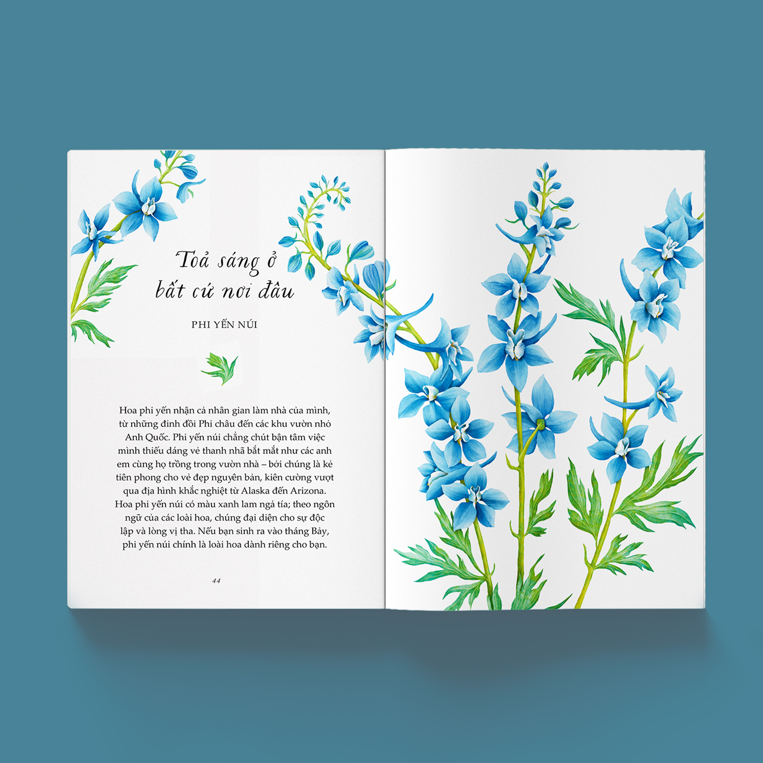 vươn mình như những đoá hoa - những bài học nhỏ để có nguồn vui và an lành bất tận - Ảnh 7