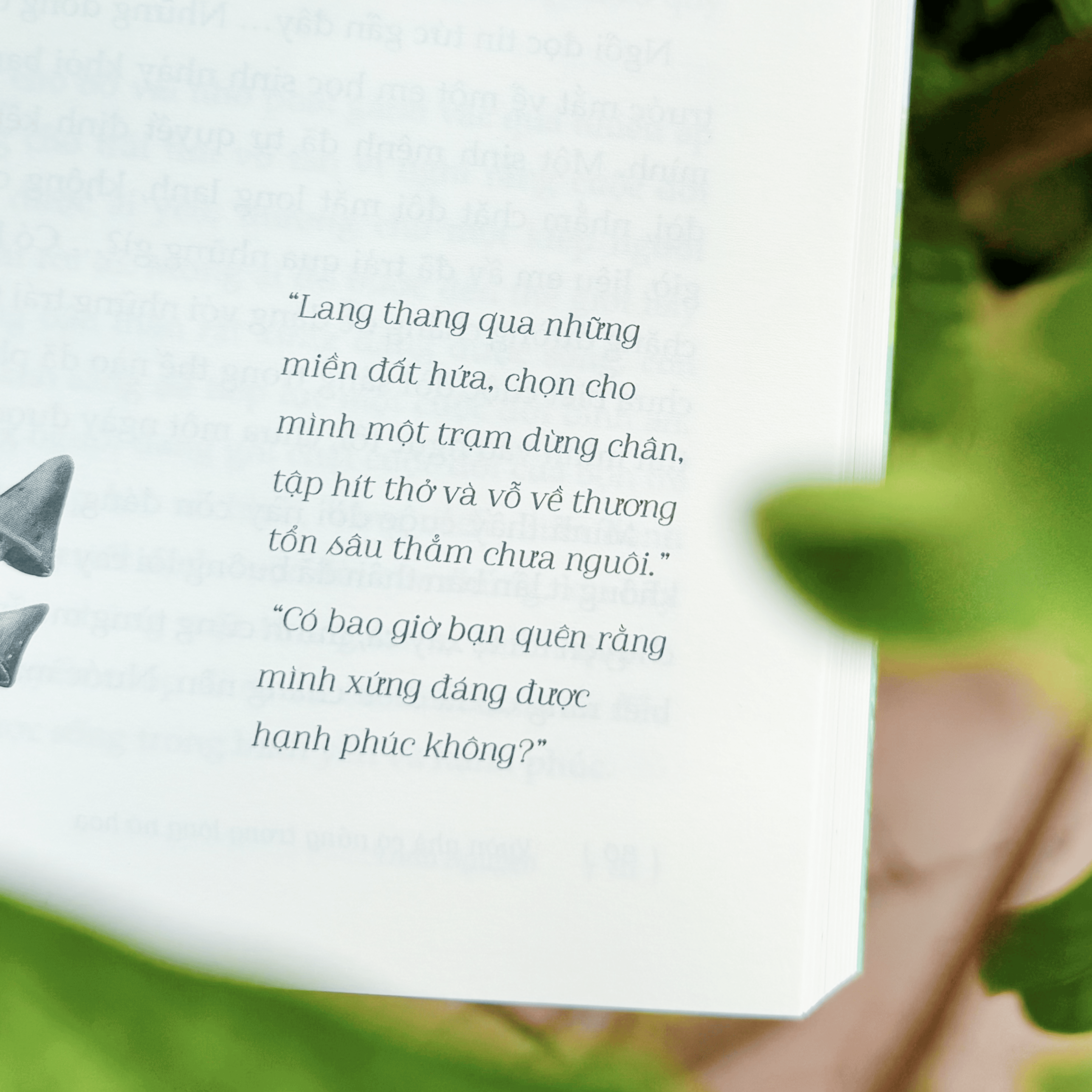 Vườn Nhà Có Nắng Trong Lòng Nở Hoa - Tặng Kèm Postcard - Ảnh 6