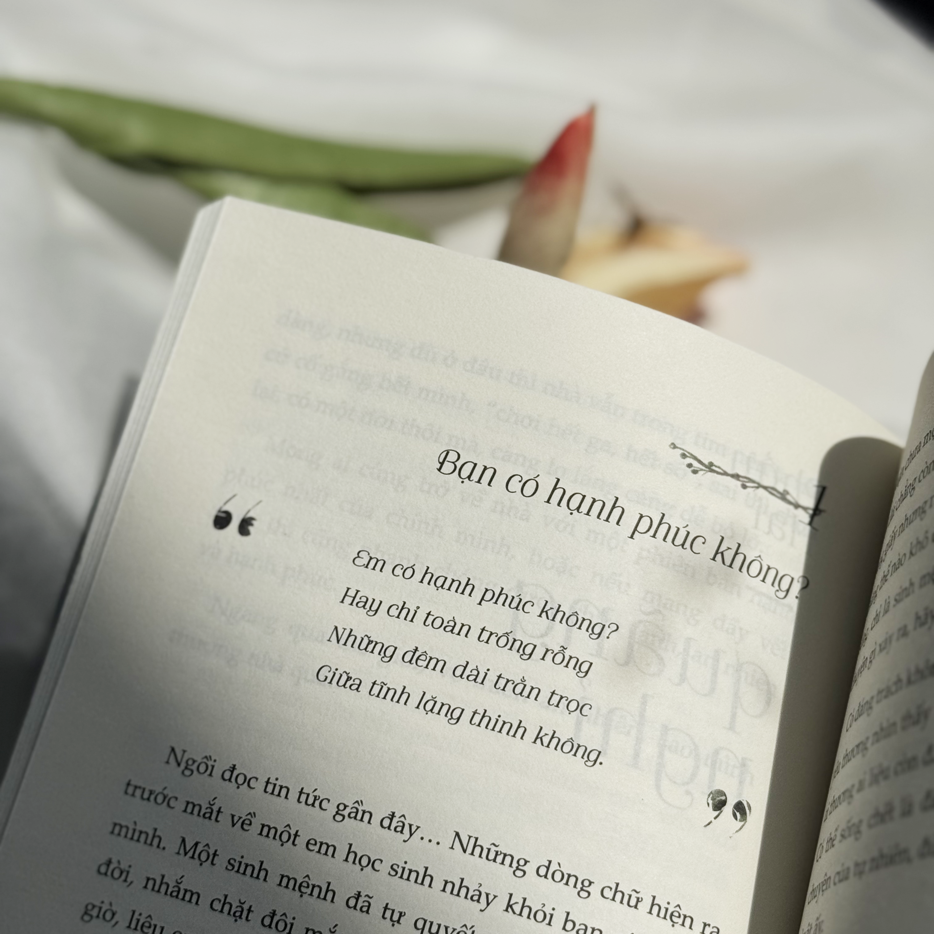 Vườn Nhà Có Nắng Trong Lòng Nở Hoa - Tặng Kèm Postcard - Ảnh 8