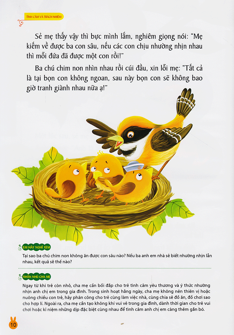 vườn ươm tính cách - tình cảm và trách nhiệm - Ảnh 10